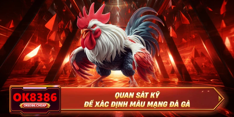 Quan sát kỹ để xác định màu mạng đá gà